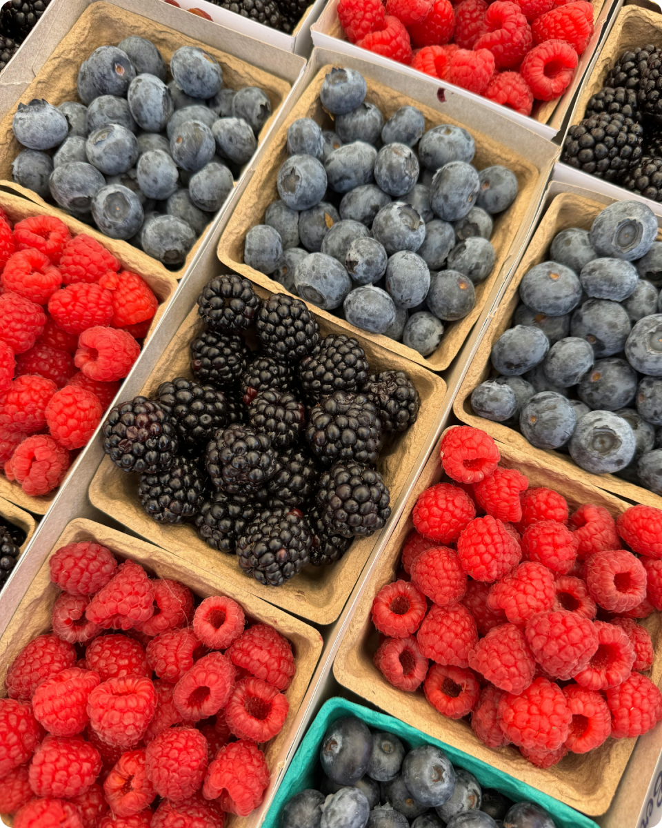 Farmers Market_Fruit