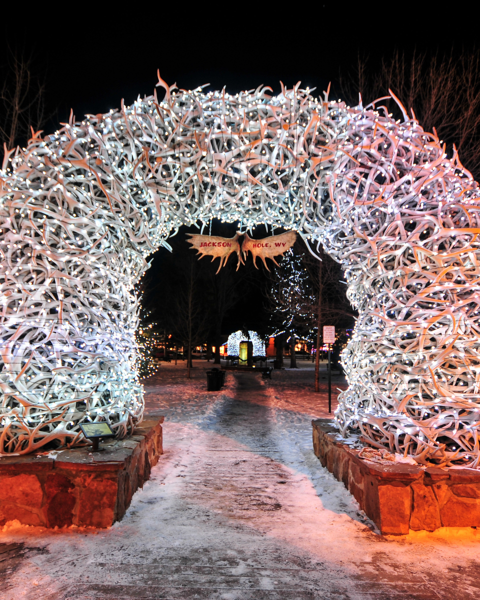 Jackson Hole Antlers