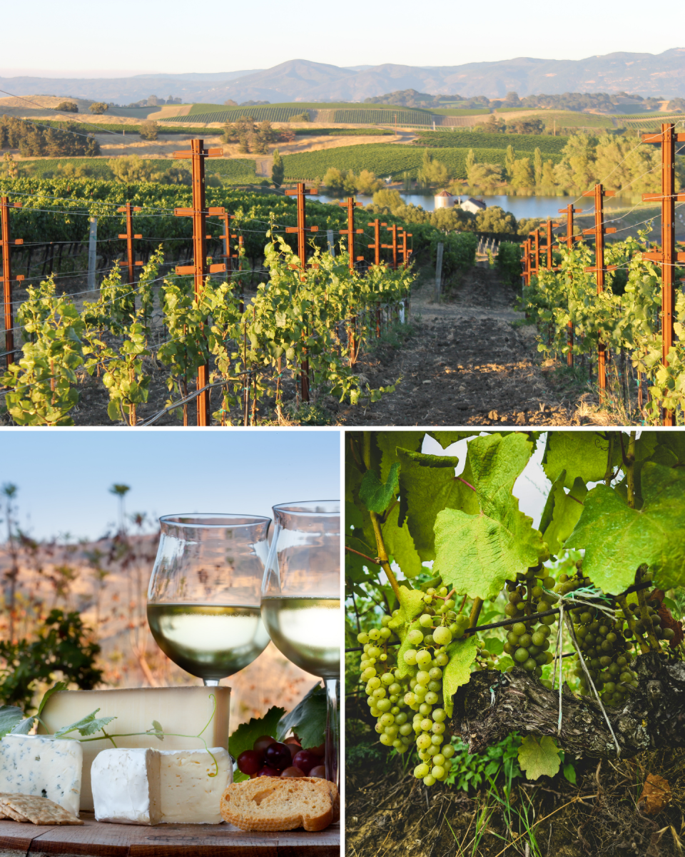 Paso Robles Day 1