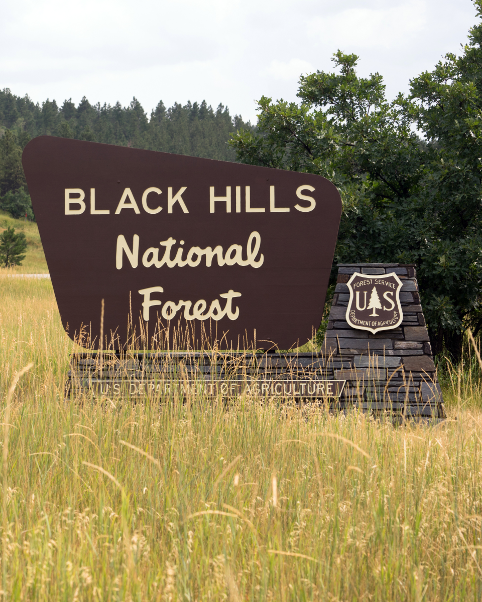 Black Hills Sign