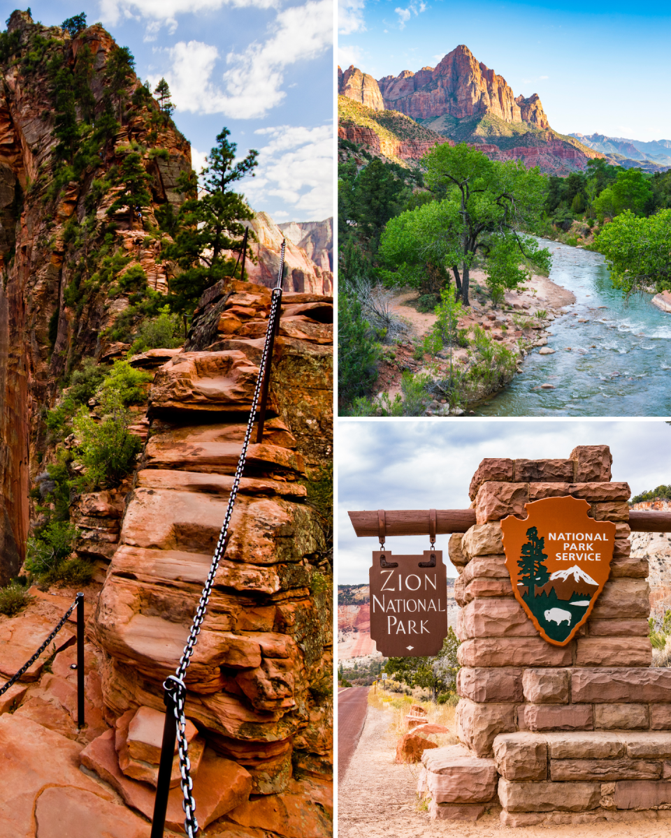 Zion 3 photos