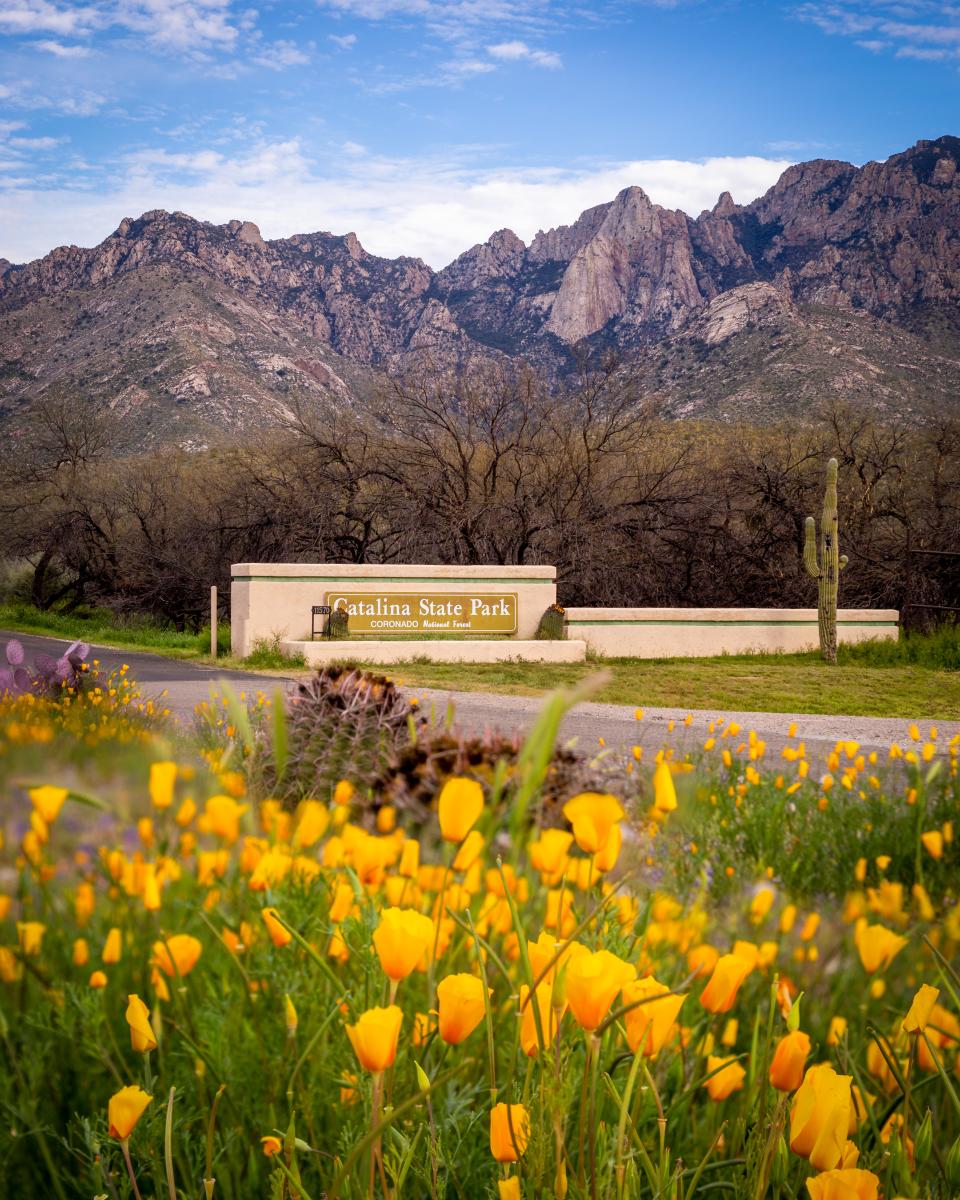 Catalina State Park