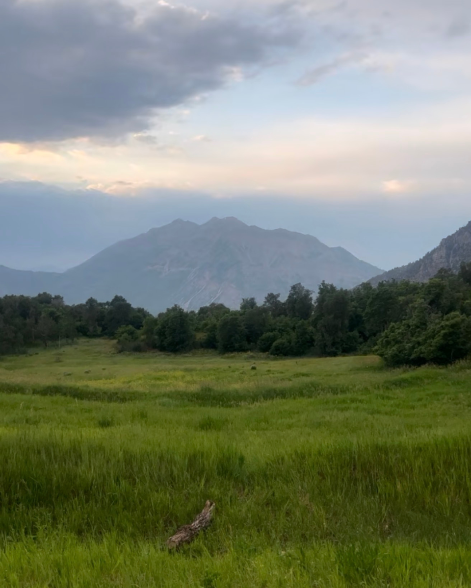 Buffalo Peak