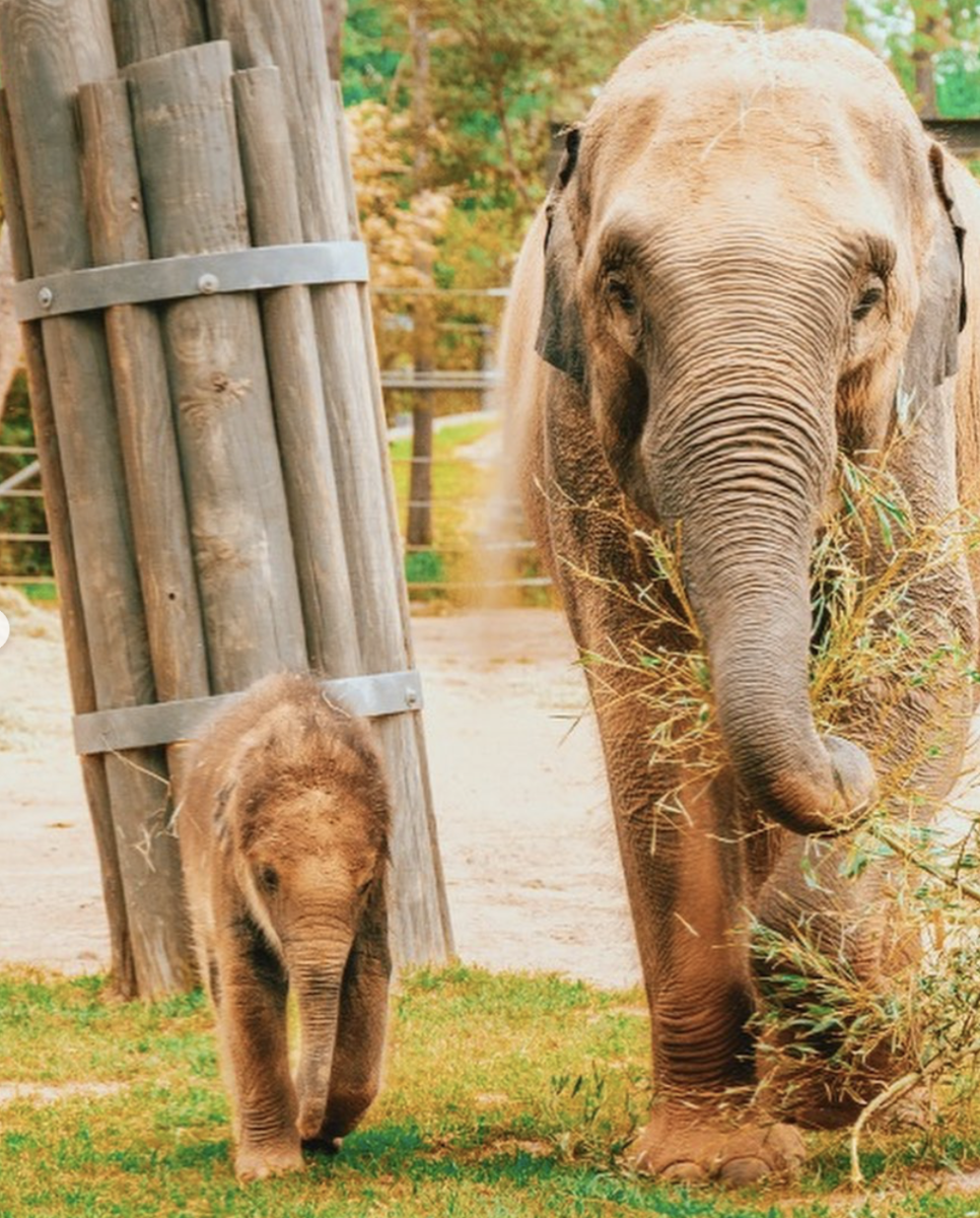 Fort Worth zoo