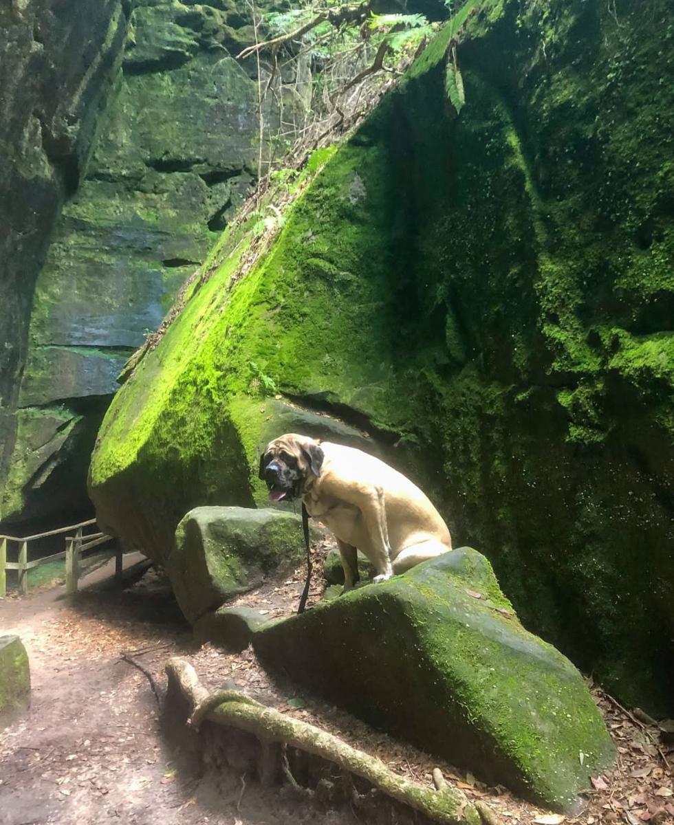 hector dismals canyon