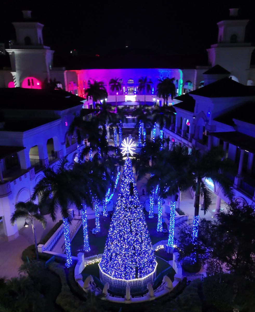 Symphony in Lights