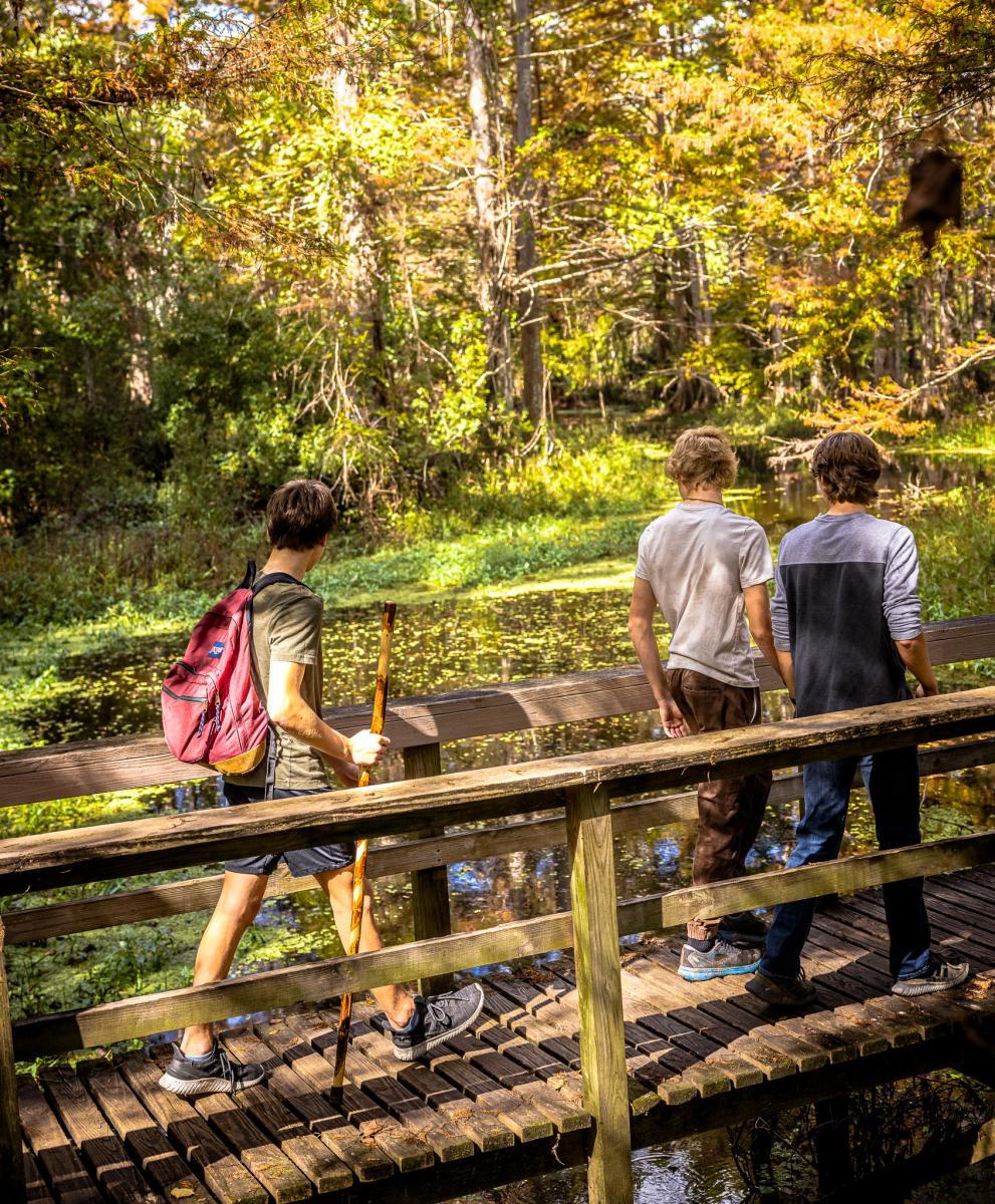 Three children wearing backpacks and carrying walking sticks explore the boardwalk in Northlake Nature Center.