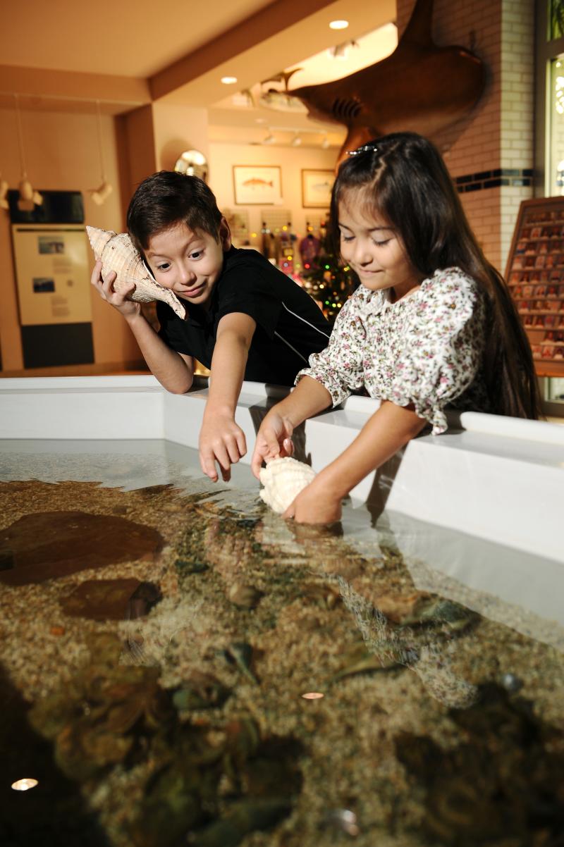 Sea Center Texas Brazosport