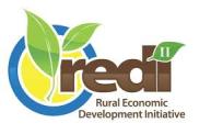 REDI Logo