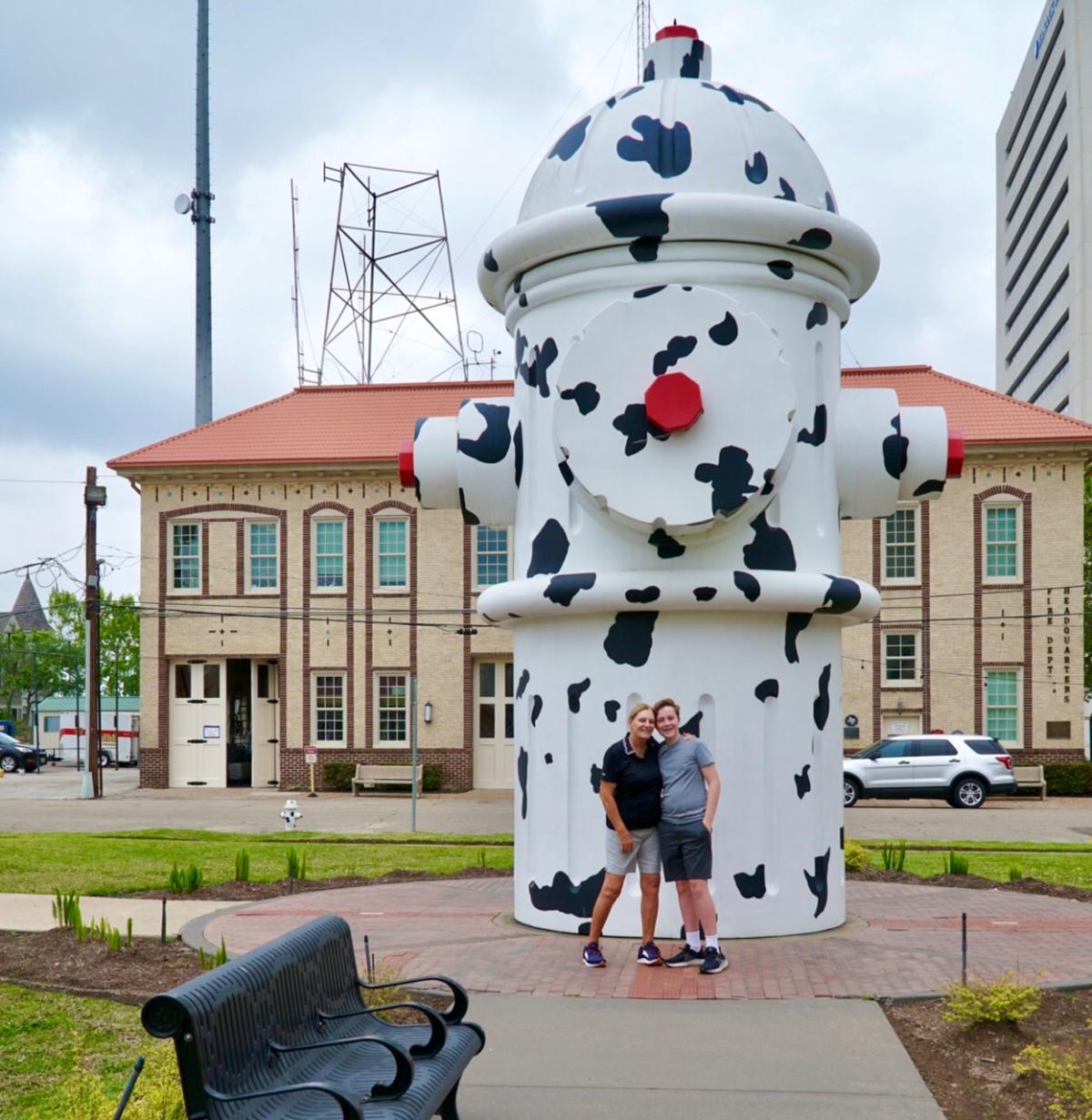 Large Cow Patterned Fire Hydrant In Beaumont, TX