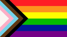 Rainbow Flag with Pink, Blue, Black and Brown