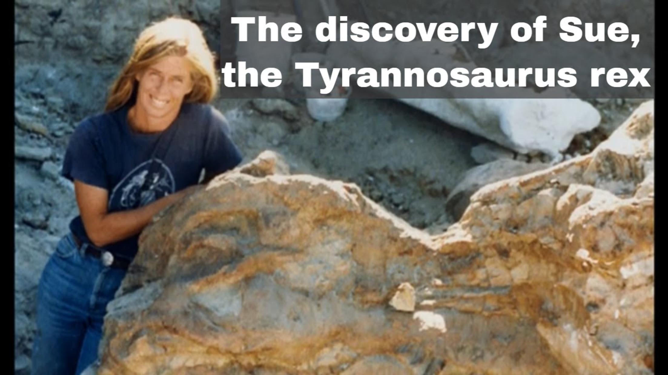 12th August 1990: Sue the Tyrannosaurus rex discovered by Susan Hendrickson