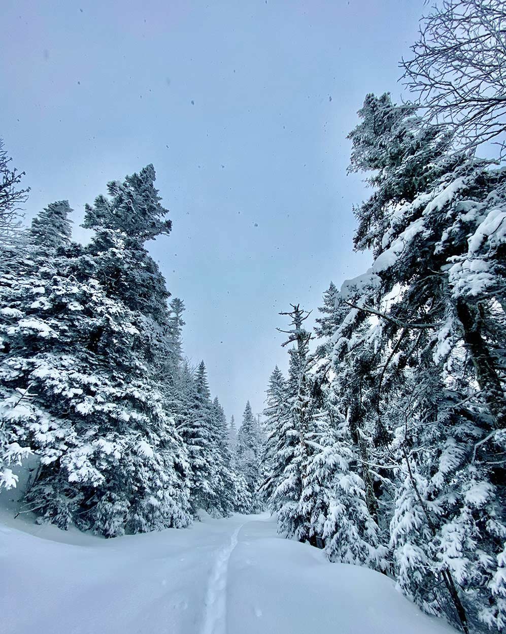 The 40” Rule – Most terrain in Vermont is made up of rocks, stumps, grass, and debris that get buried under the snow.  Make sure to wait for at least 40” of base before exploring beyond the resort. Snow snakes are real and they bite hard.Tour Together – Always ride with a partner(s), especially in the woods or backcountry.  Make sure to check in throughout your run and make sure everyone is accounted for.  Your crew is your lifeline and you are theirs.Start Early – In case things go bad, make sure to build enough daylight into your tour to keep you and your group visible, safe, and warm even if the unexpected happens.Take A Course – There are First Aid/CPR, Survival, and AIARE 1 Avalanche courses offered in the Burlington area. Check out Petra Cliffs for more information about avalanche courses. - Photo by Ralph Kucharek