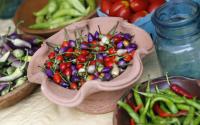 Farmers Market Bowl