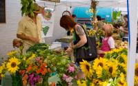 Athens Farmers Market