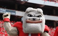 Hairy Dawg