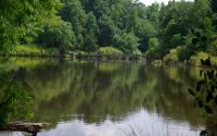 Lake Herrick