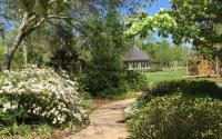 Beaumont Botanical Gardens Gazebo