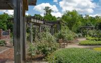 Gardens at Tyrrell Park