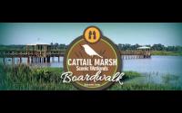 Beaumont Texas Cattail Marsh Scenic Wetlands and Boardwalk 2017
