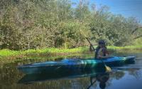 The Vue: Kayaking the Mercer Slough