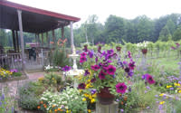 butler winery