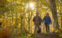 A couple with their dog on a leash walks through the woods with the sun peeking through the trees at their backs.