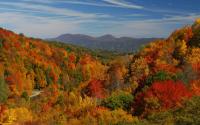 Fall Mountain View | Boone, NC