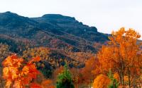 Grandfather Mountain in Fall | Boone, NC