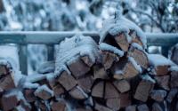 Firewood Bundled for Sale | Boone, NC