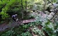 Rocky Knob Mountain Bike Park | Boone, NC