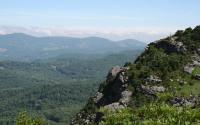 Summer View on Grandfather Mountain | Linville