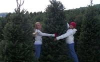 Real Christmas Trees Inspire Hugs | Boone, NC