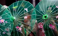 Asian Umbrellas 3745-2