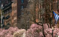Beacon Street in the Spring