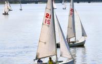 sail boats on the charles 0762 2-2