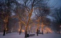 Snow covered Commonwealth Avenue Mall