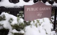 Public Garden in hibernation.