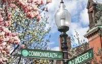 Back Bay Blooms - Commonwealth Ave