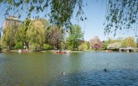 At the pond in the Public Garden
