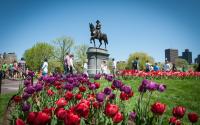 The George Washington Statue in springtime
