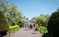 Visitors enjoy the Boston Public Garden