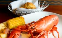 Dining - Lobster