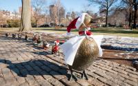 The “Make Way for Ducklings” sculpture
