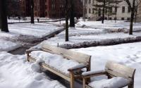 Winter in Boston