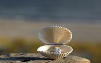 nc-beach-wedding-details-ring