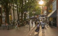 Downtown Mall Summer