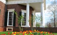 Monticello Side