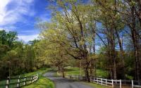 Albemarle County Road