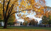 UVA Lawn Autumn